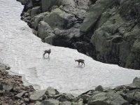 IMG_6421.jpg, 30kB